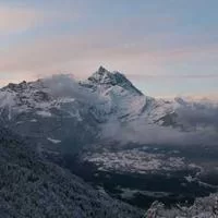 免费试用