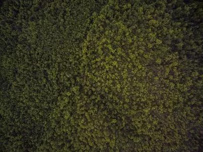 价格透明公道