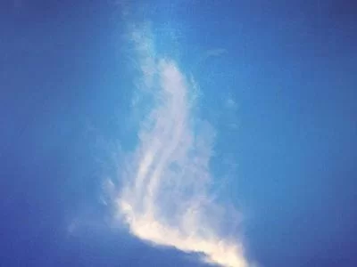 填写说说链接