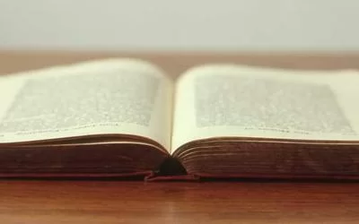 烘干水分处理