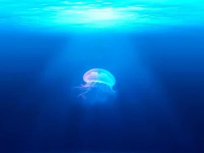 卧室深粉点缀