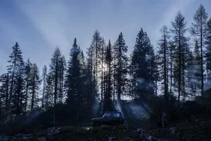 颜值爆棚