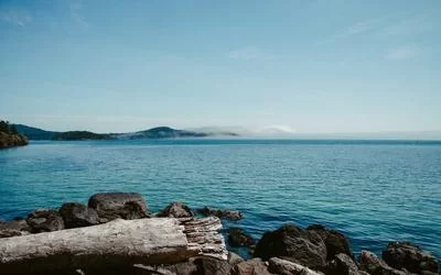 质量检测流程